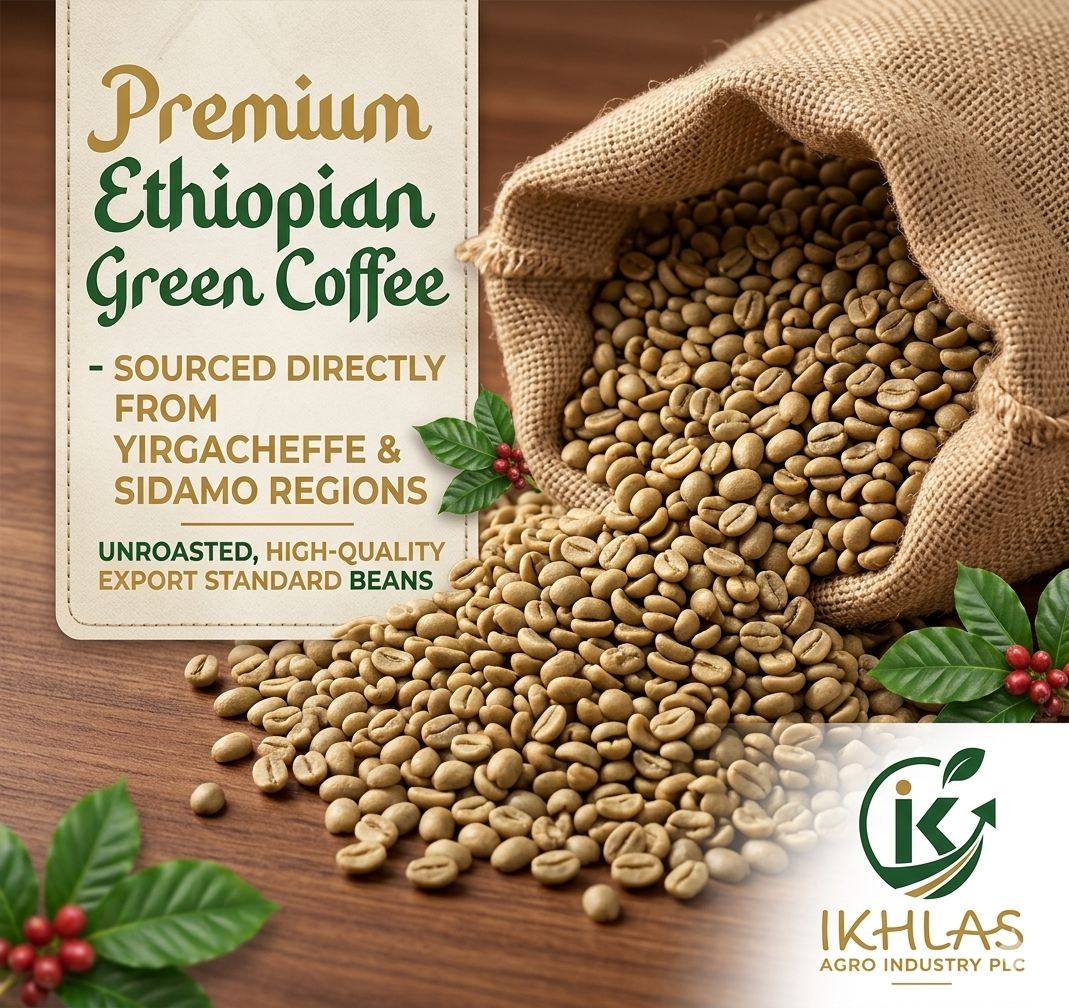 Ethiopian Coffee Highlands